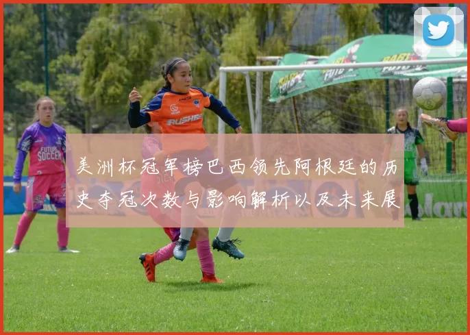 美洲杯冠军榜巴西领先阿根廷的历史夺冠次数与影响解析以及未来展望