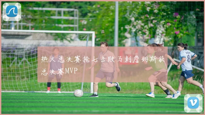热火总决赛抢七击败马刺詹姆斯获总决赛MVP