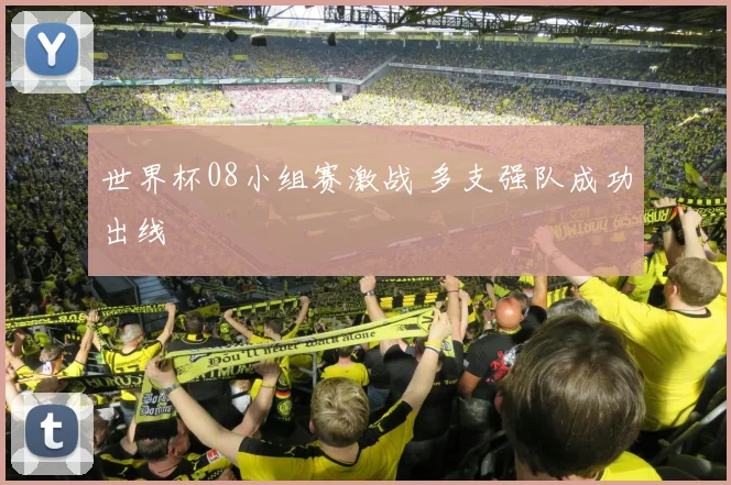 世界杯08小组赛激战 多支强队成功出线
