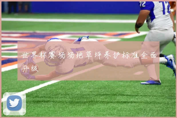 世界杯赛场场地草坪养护标准全面升级