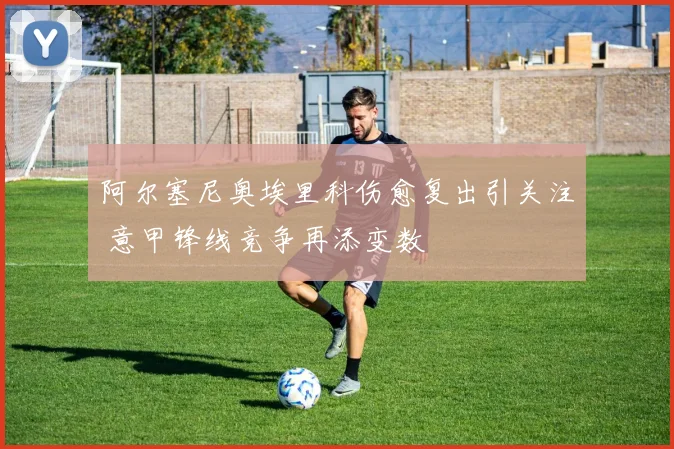 阿尔塞尼奥埃里科伤愈复出引关注 意甲锋线竞争再添变数